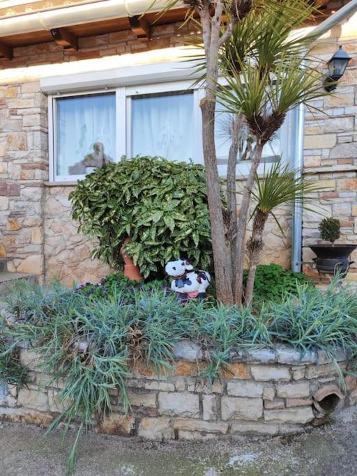 Apartment Istra Near Beach Rovinj Exterior foto